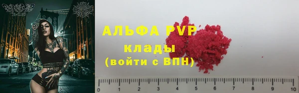СК Нефтекумск