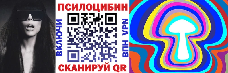 Галлюциногенные грибы мухоморы  купить наркотик  Абаза 