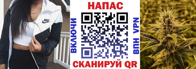 Шишки марихуана планчик  купить наркоту  Абаза 